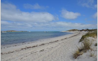 AUTOUR DE ESPERANCE – WILLY BAY