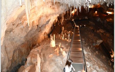 BAIE D&rsquo;HAMELIN-JEWEL CAVE-CAPE LEEUWIN