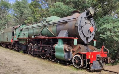 LE PETIT TRAIN DE PEMBERTON ET HAMELIN BAY