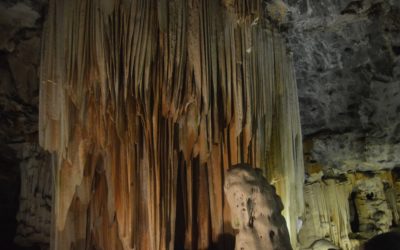Les grottes de Cango et Knysna – 8 décembre 2017