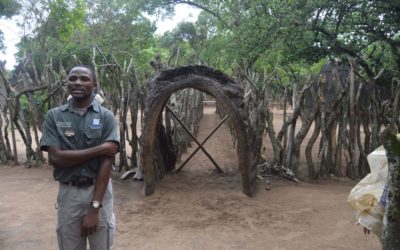 Réserve HLUHLUWE puis changement de pays : SWAZILAND – 12 décembre 2017
