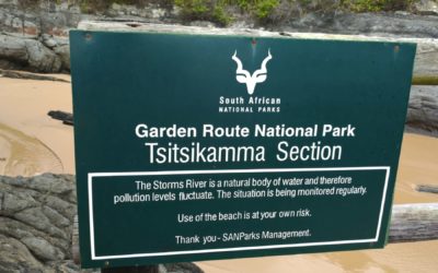 Le Parc de TSITSIKAMMA et Port Elizabeth – 9 décembre 2017