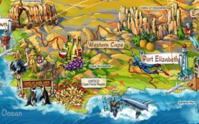 Résumé de l’étape CAPE TOWN – PORT ELISABETH