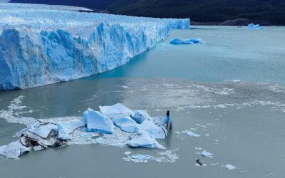 19 Janvier 2023 – Perito Moreno